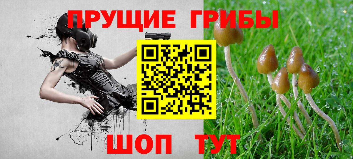 Псилоцибиновые грибы ЛСД Старая Русса